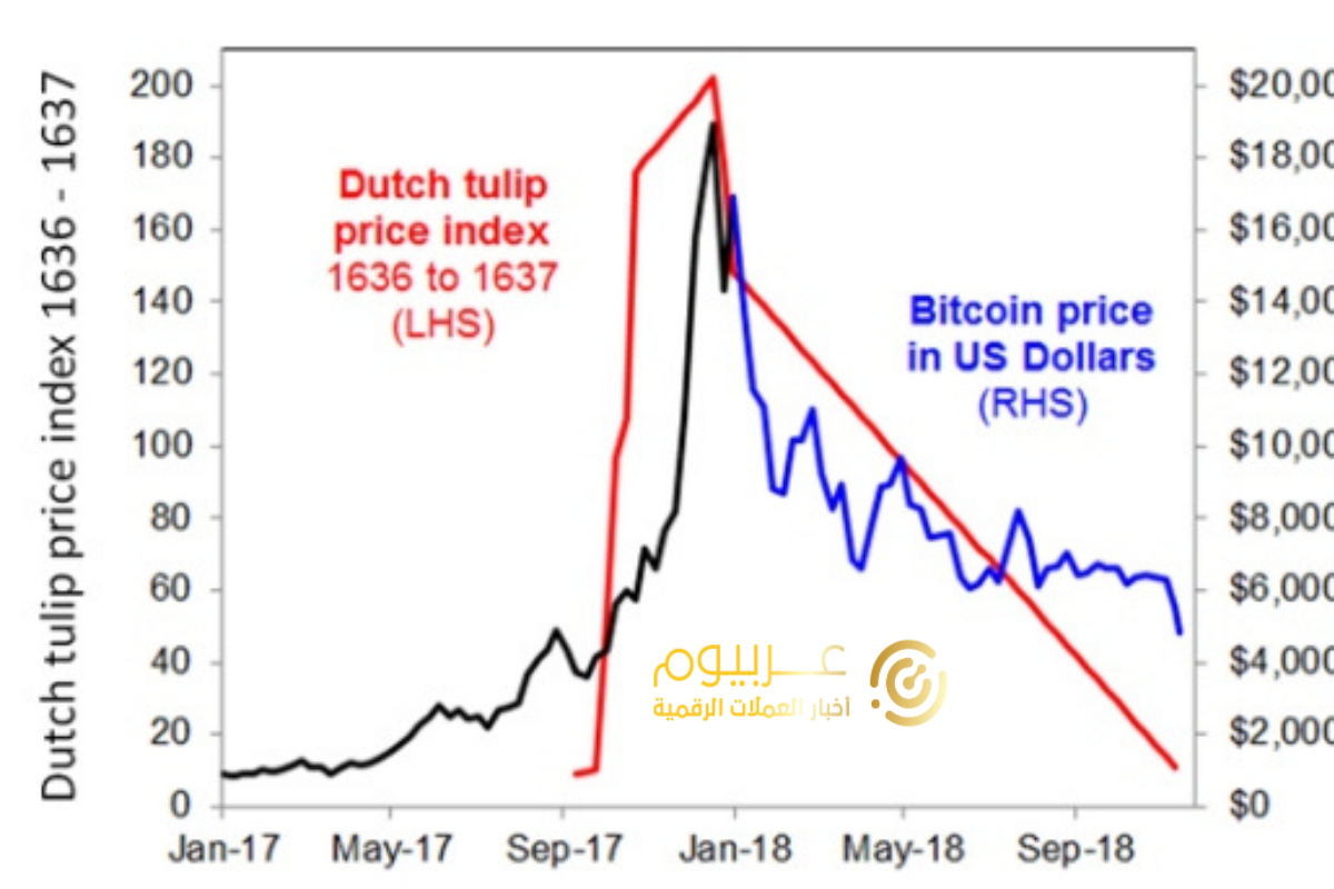 جنون التوليب والبيتكوين،موقع عربيوم اخبار العملات الرقمية،العملات الرقمية