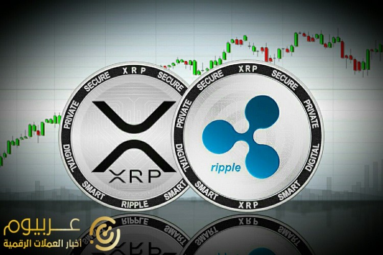 تقرير Ripple وXRP قيد المناقشة كمنصة محتملة لليورو الرقمي