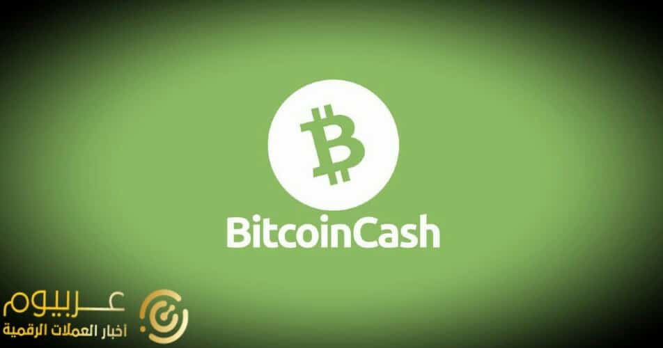 كيف أثر رفض تسلا لـ منتجات فورك Fork على Bitcoin Cash؟